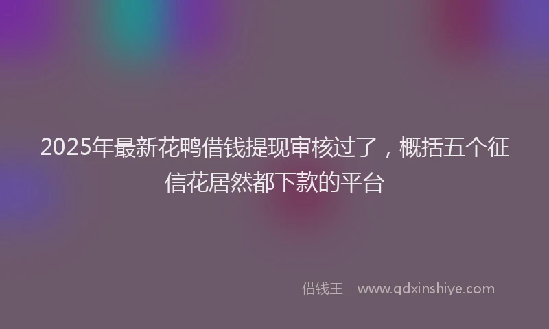 2025年最新花鸭借钱提现审核过了，概括五个征信花居然都下款的平台