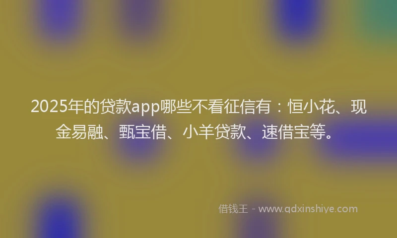2025年的贷款app哪些不看征信有:恒小花、现金易融、甄宝借、小羊贷款、速借宝等。