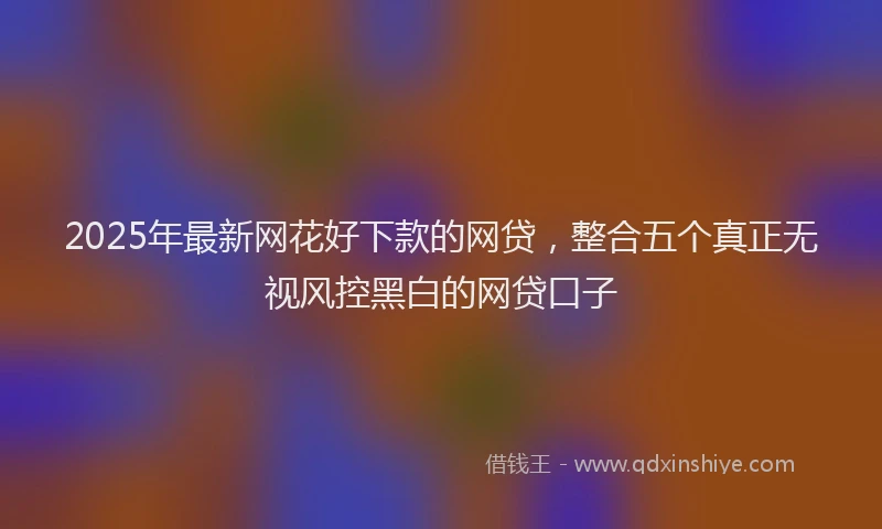2025年最新网花好下款的网贷，整合五个真正无视风控黑白的网贷口子