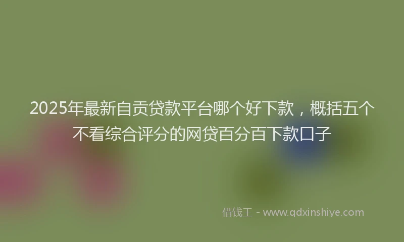 2025年最新自贡贷款平台哪个好下款，概括五个不看综合评分的网贷百分百下款口子