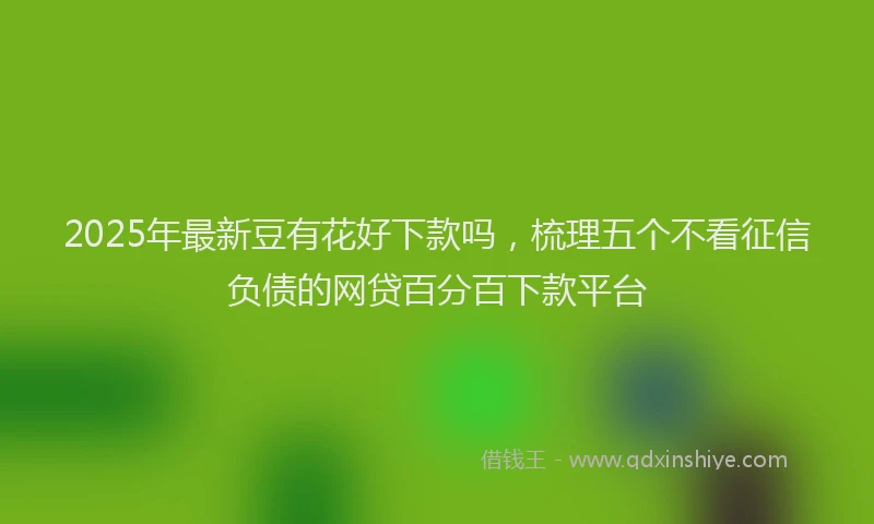 2025年最新豆有花好下款吗，梳理五个不看征信负债的网贷百分百下款平台