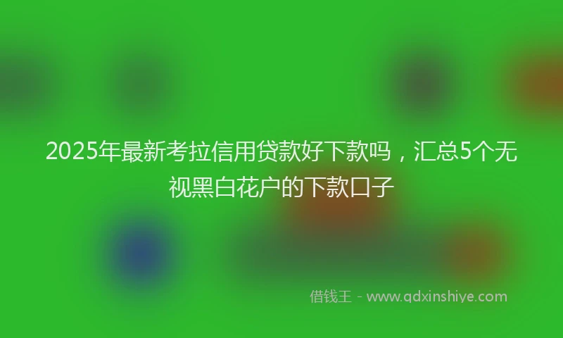 2025年最新考拉信用贷款好下款吗，汇总5个无视黑白花户的下款口子