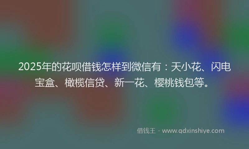 2025年的花呗借钱怎样到微信有：天小花、闪电宝盒、橄榄信贷、新一花、樱桃钱包等。