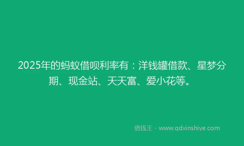 2025年的蚂蚁借呗利率有：洋钱罐借款、星梦分期、现金站、天天富、爱小花等。