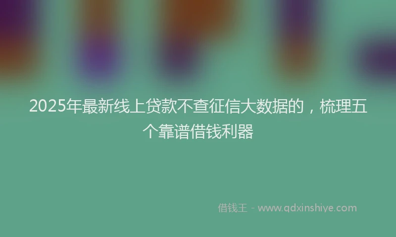2025年最新线上贷款不查征信大数据的,梳理五个靠谱借钱利器