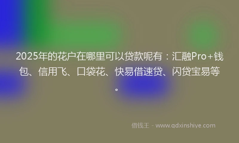 2025年的花户在哪里可以贷款呢有：汇融Pro+钱包、信用飞、口袋花、快易借速贷、闪贷宝易等。