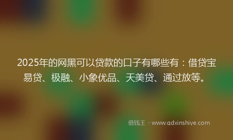 2025年的网黑可以贷款的口子有哪些有：借贷宝易贷、极融、小象优品、天美贷、通过放等。