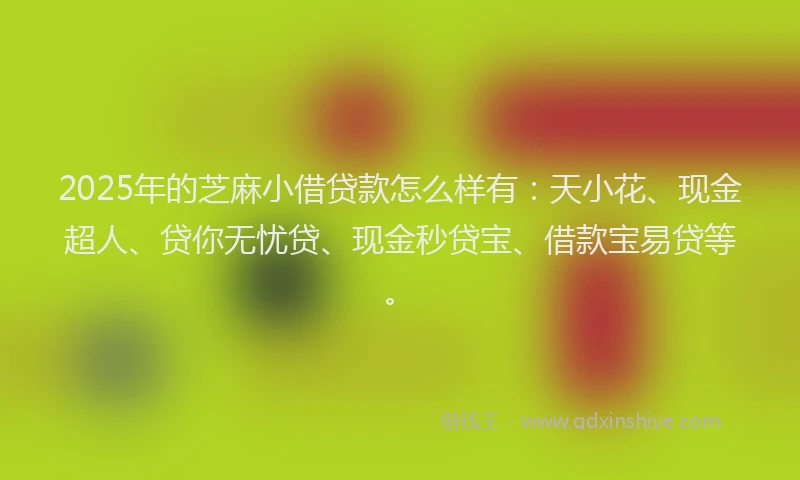 2025年的芝麻小借贷款怎么样有：天小花、现金超人、贷你无忧贷、现金秒贷宝、借款宝易贷等。