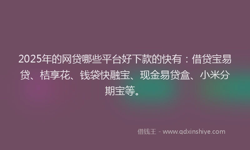 2025年的网贷哪些平台好下款的快有：借贷宝易贷、桔享花、钱袋快融宝、现金易贷盒、小米分期宝等。