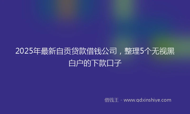 2025年最新自贡贷款借钱公司，整理5个无视黑白户的下款口子