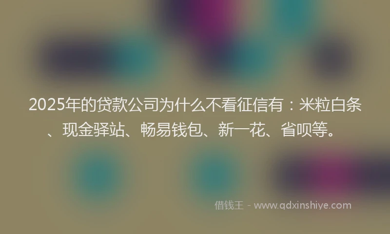 2025年的贷款公司为什么不看征信有：米粒白条、现金驿站、畅易钱包、新一花、省呗等。