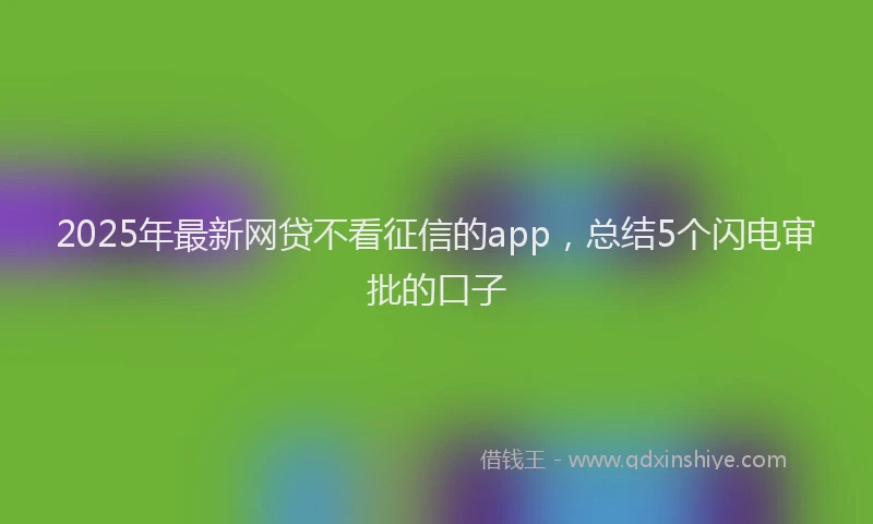 2025年最新网贷不看征信的app，总结5个闪电审批的口子