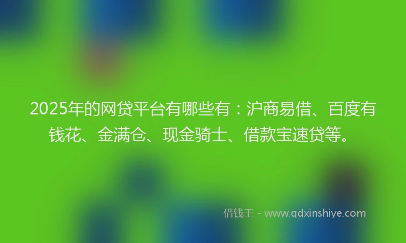 2025年的网贷平台有哪些有：沪商易借、百度有钱花、金满仓、现金骑士、借款宝速贷等。