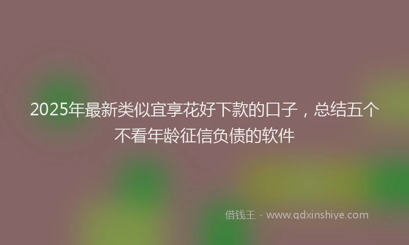 2025年最新类似宜享花好下款的口子，总结五个不看年龄征信负债的软件