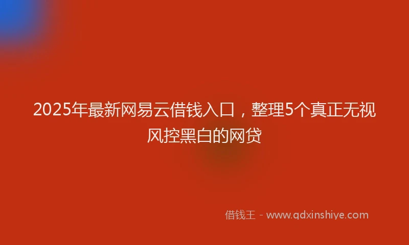 2025年最新网易云借钱入口，整理5个真正无视风控黑白的网贷