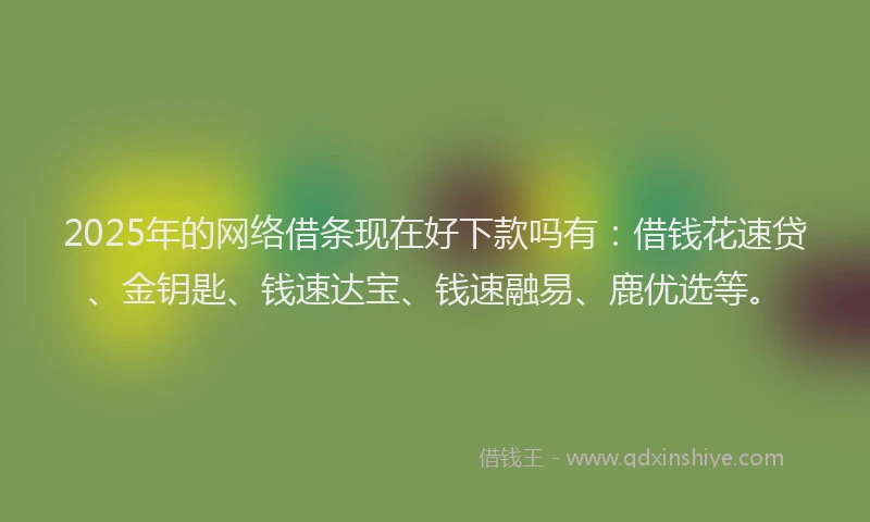 2025年的网络借条现在好下款吗有：借钱花速贷、金钥匙、钱速达宝、钱速融易、鹿优选等。