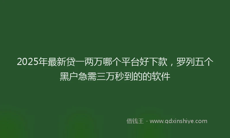 2025年最新贷一两万哪个平台好下款，罗列五个黑户急需三万秒到的的软件