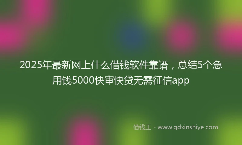 2025年最新网上什么借钱软件靠谱，总结5个急用钱5000快审快贷无需征信app