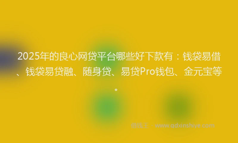 2025年的良心网贷平台哪些好下款有：钱袋易借、钱袋易贷融、随身贷、易贷Pro钱包、金元宝等。