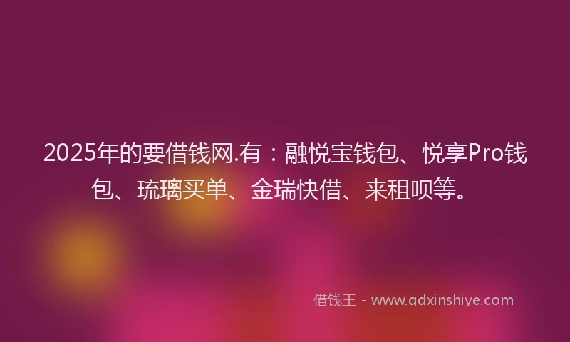 2025年的要借钱网.有：融悦宝钱包、悦享Pro钱包、琉璃买单、金瑞快借、来租呗等。