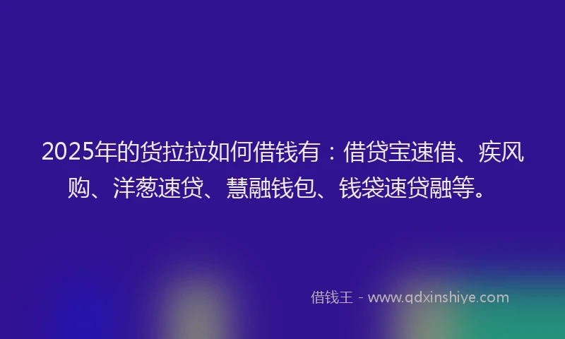 2025年的货拉拉如何借钱有：借贷宝速借、疾风购、洋葱速贷、慧融钱包、钱袋速贷融等。