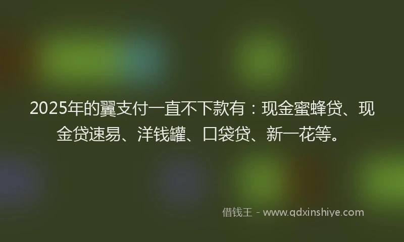 2025年的翼支付一直不下款有：现金蜜蜂贷、现金贷速易、洋钱罐、口袋贷、新一花等。