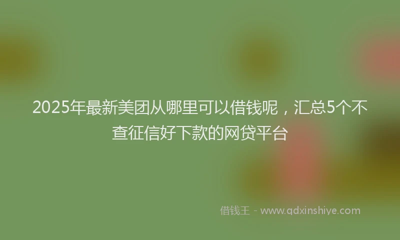 2025年最新美团从哪里可以借钱呢，汇总5个不查征信好下款的网贷平台