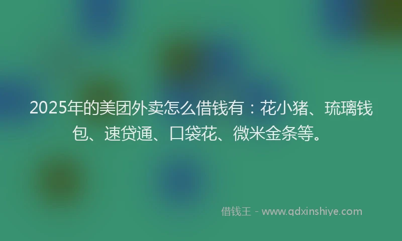 2025年的美团外卖怎么借钱有：花小猪、琉璃钱包、速贷通、口袋花、微米金条等。