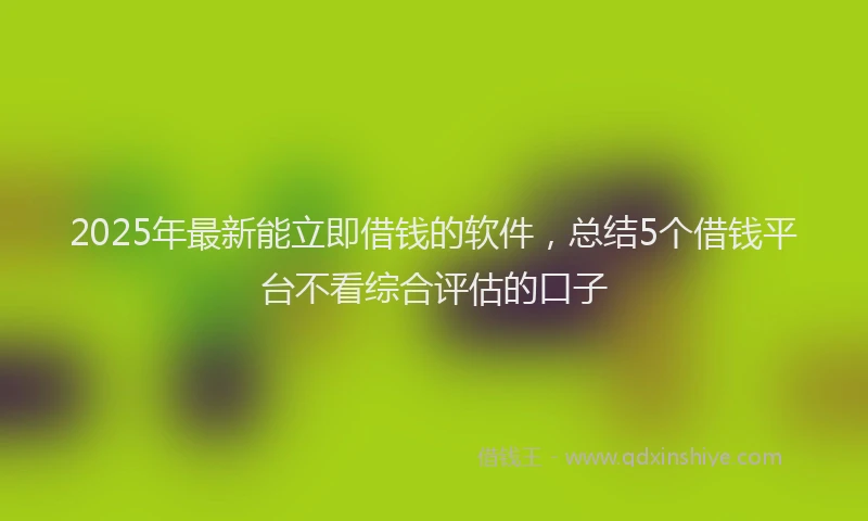 2025年最新能立即借钱的软件，总结5个借钱平台不看综合评估的口子