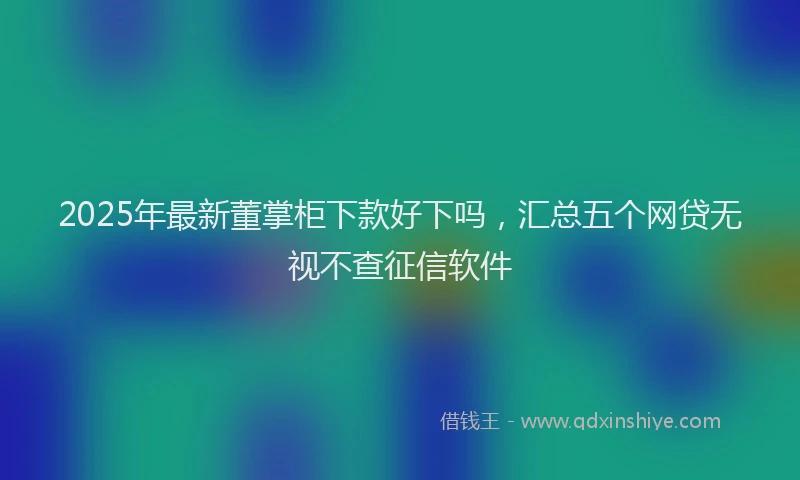 2025年最新董掌柜下款好下吗，汇总五个网贷无视不查征信软件