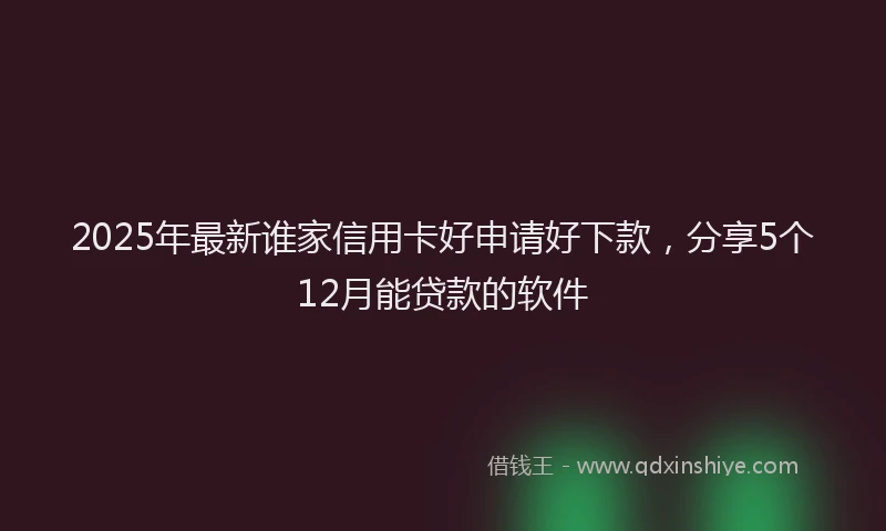 2025年最新谁家信用卡好申请好下款，分享5个12月能贷款的软件