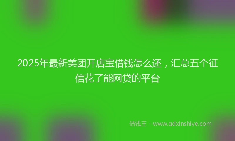2025年最新美团开店宝借钱怎么还，汇总五个征信花了能网贷的平台