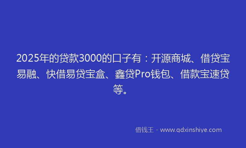 2025年的贷款3000的口子有：开源商城、借贷宝易融、快借易贷宝盒、鑫贷Pro钱包、借款宝速贷等。