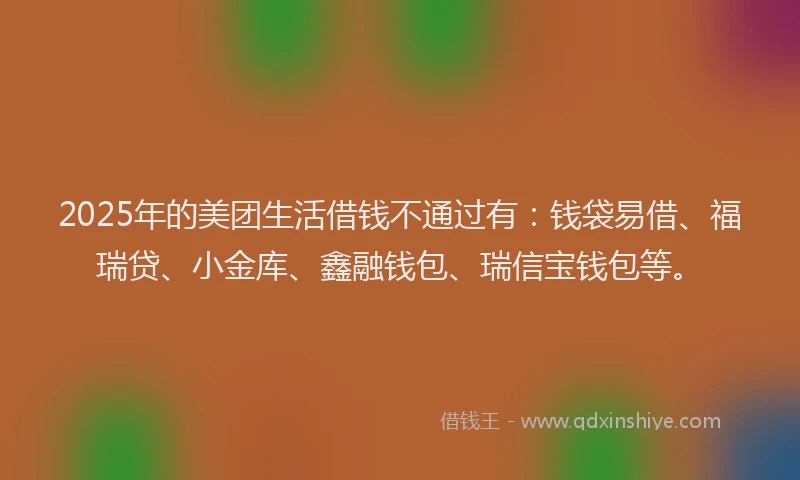 2025年的美团生活借钱不通过有：钱袋易借、福瑞贷、小金库、鑫融钱包、瑞信宝钱包等。