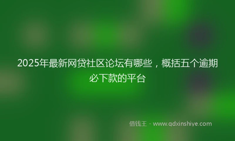 2025年最新网贷社区论坛有哪些，概括五个逾期必下款的平台