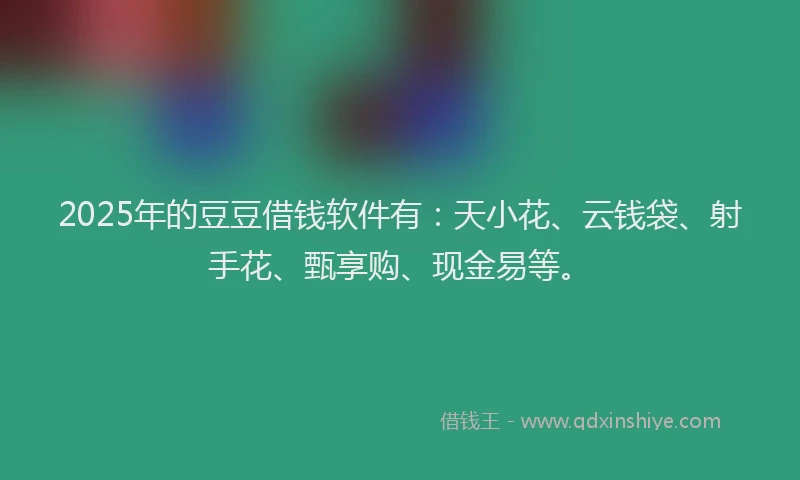 2025年的豆豆借钱软件有：天小花、云钱袋、射手花、甄享购、现金易等。
