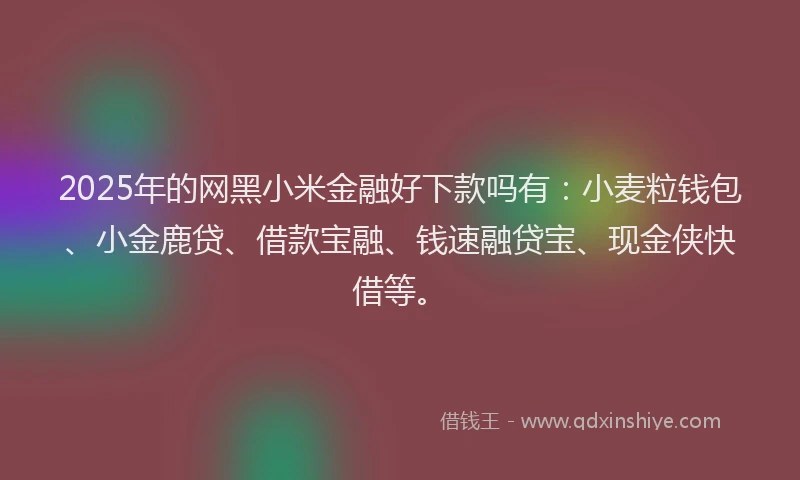 2025年的网黑小米金融好下款吗有：小麦粒钱包、小金鹿贷、借款宝融、钱速融贷宝、现金侠快借等。