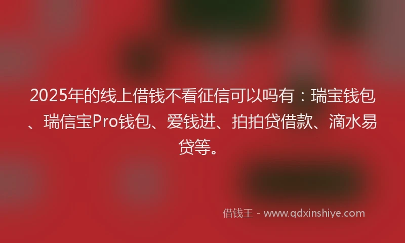 2025年的线上借钱不看征信可以吗有：瑞宝钱包、瑞信宝Pro钱包、爱钱进、拍拍贷借款、滴水易贷等。