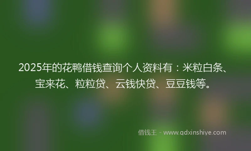 2025年的花鸭借钱查询个人资料有：米粒白条、宝来花、粒粒贷、云钱快贷、豆豆钱等。