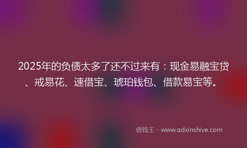 2025年的负债太多了还不过来有：现金易融宝贷、戒易花、速借宝、琥珀钱包、借款易宝等。