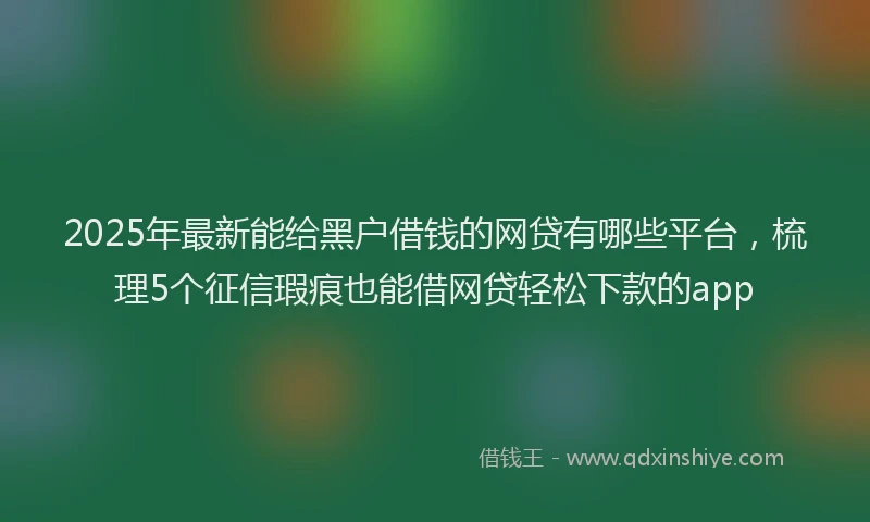 2025年最新能给黑户借钱的网贷有哪些平台，梳理5个征信瑕疵也能借网贷轻松下款的app