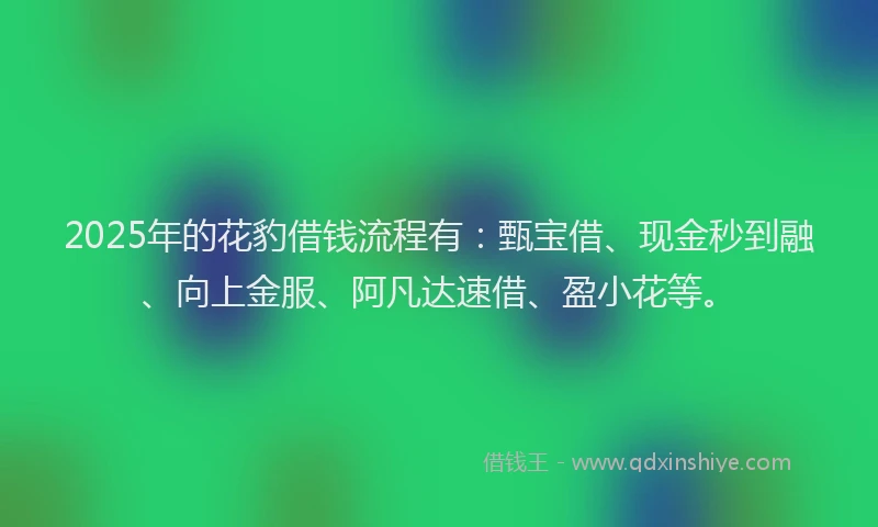 2025年的花豹借钱流程有：甄宝借、现金秒到融、向上金服、阿凡达速借、盈小花等。