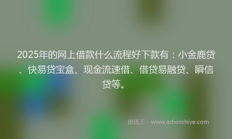 2025年的网上借款什么流程好下款有：小金鹿贷、快易贷宝盒、现金流速借、借贷易融贷、瞬信贷等。