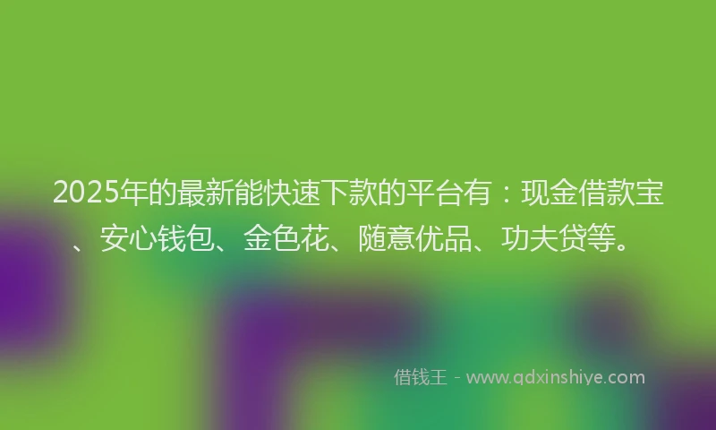 2025年的最新能快速下款的平台有：现金借款宝、安心钱包、金色花、随意优品、功夫贷等。