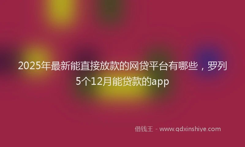 2025年最新能直接放款的网贷平台有哪些，罗列5个12月能贷款的app