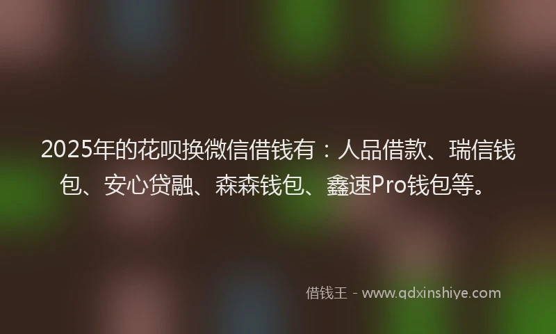 2025年的花呗换微信借钱有：人品借款、瑞信钱包、安心贷融、森森钱包、鑫速Pro钱包等。