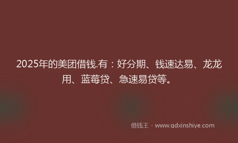 2025年的美团借钱.有：好分期、钱速达易、龙龙用、蓝莓贷、急速易贷等。