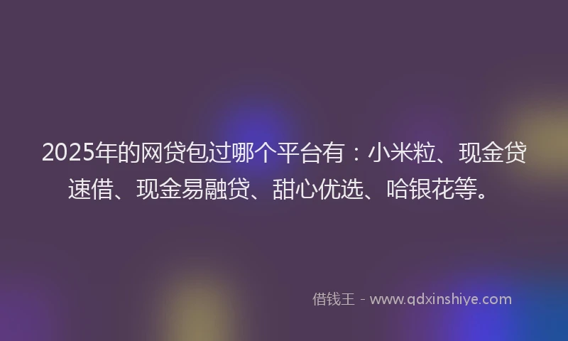 2025年的网贷包过哪个平台有：小米粒、现金贷速借、现金易融贷、甜心优选、哈银花等。