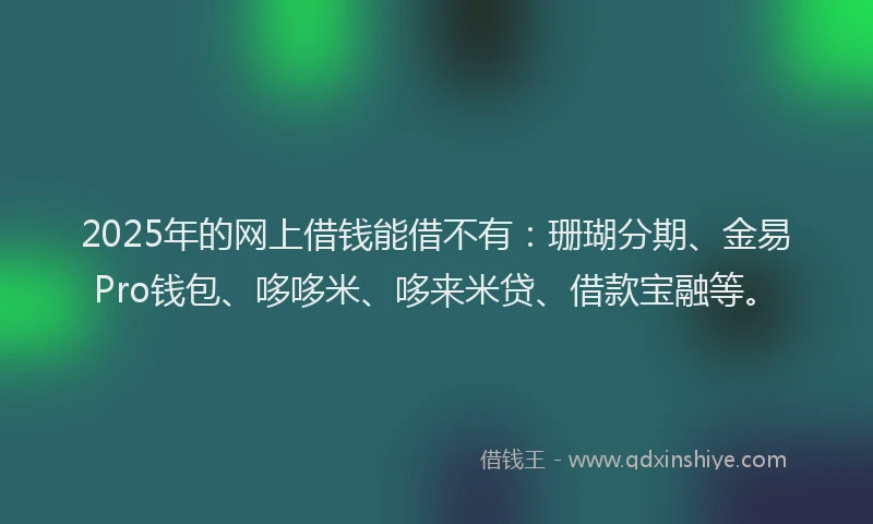 2025年的网上借钱能借不有：珊瑚分期、金易Pro钱包、哆哆米、哆来米贷、借款宝融等。
