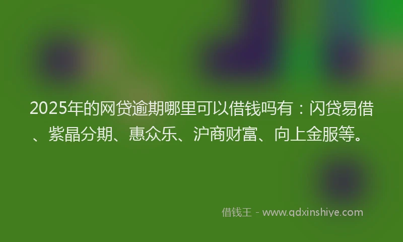 2025年的网贷逾期哪里可以借钱吗有：闪贷易借、紫晶分期、惠众乐、沪商财富、向上金服等。